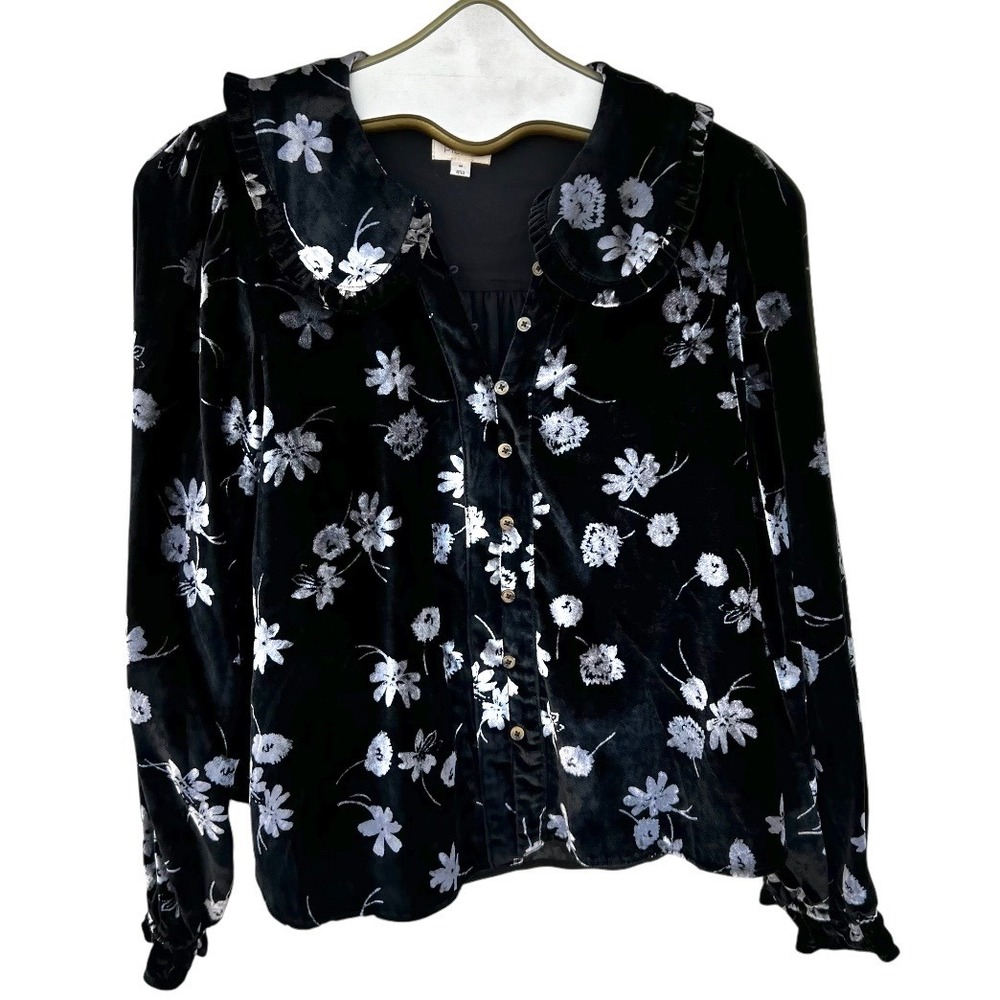 Pilcro Anthropologie Keira Velvet Burnout Blouse Black Witchy Peter Pan Collar M - Picture 13 of 17